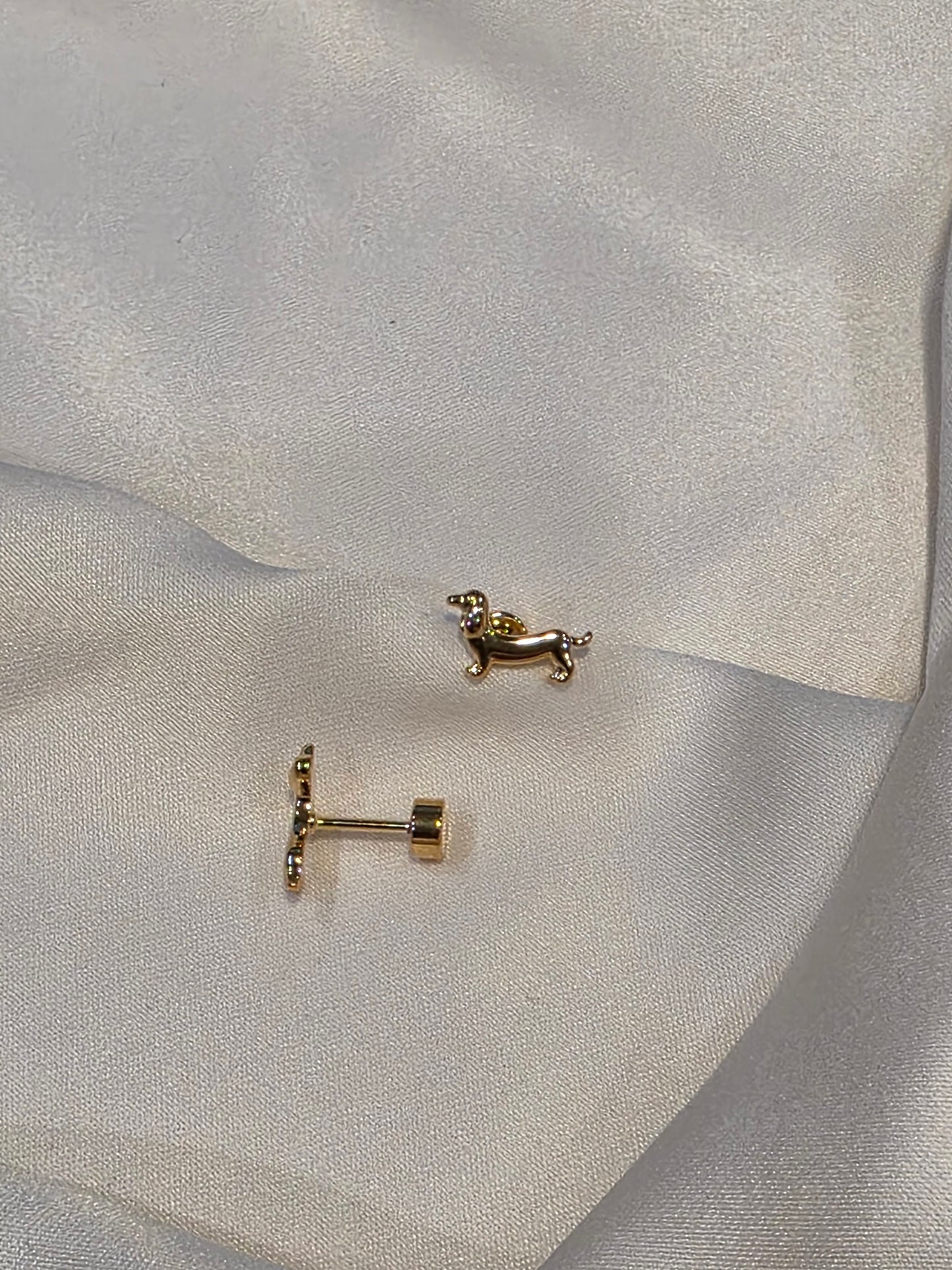 Dachshund Studs