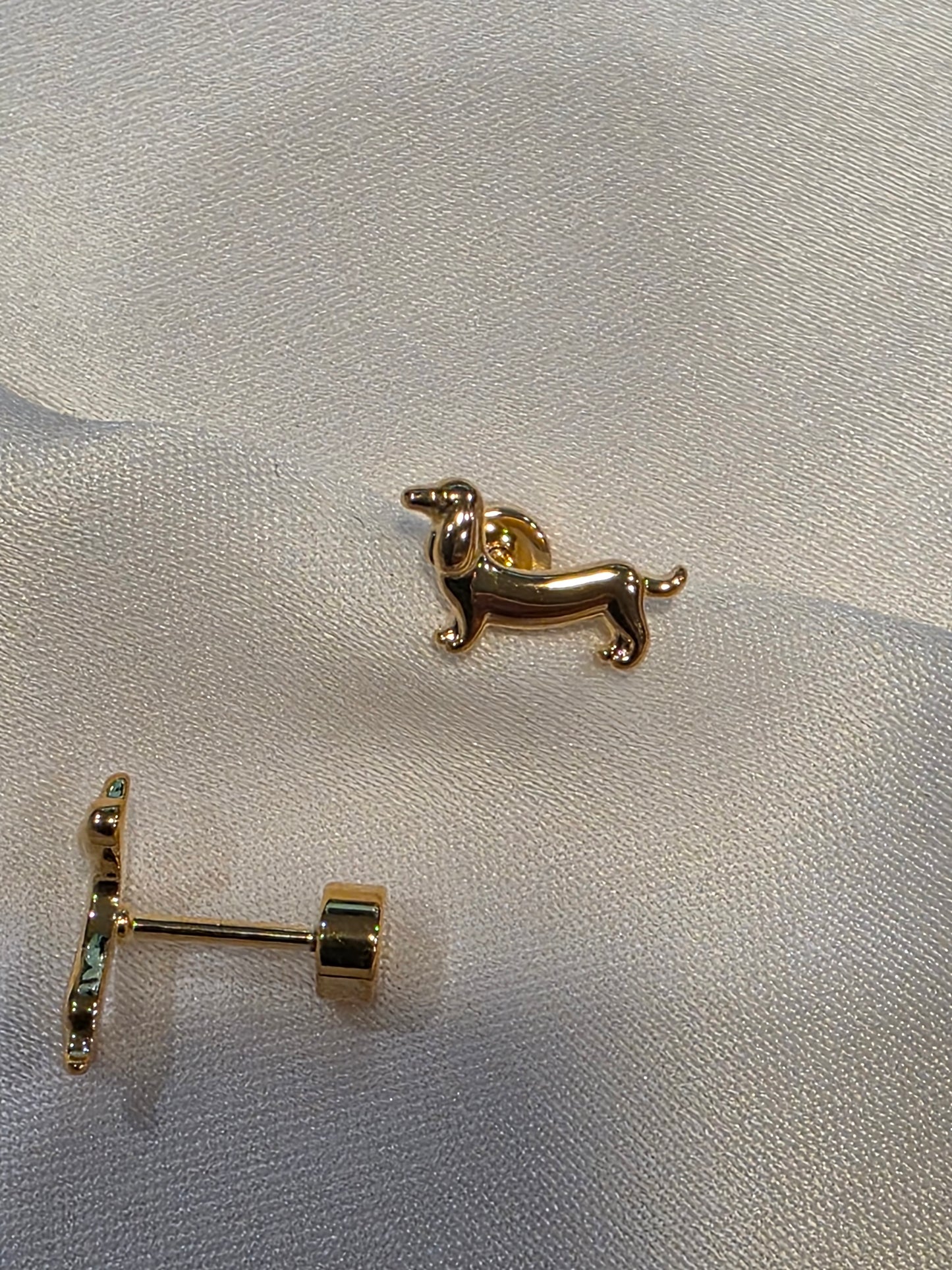 Dachshund Studs